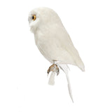 バード 白フクロウ C プエブコ BIRDS white owl C PUEBCO