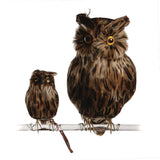バード 茶フクロウ B プエブコ BIRDS brown owl B PUEBCO